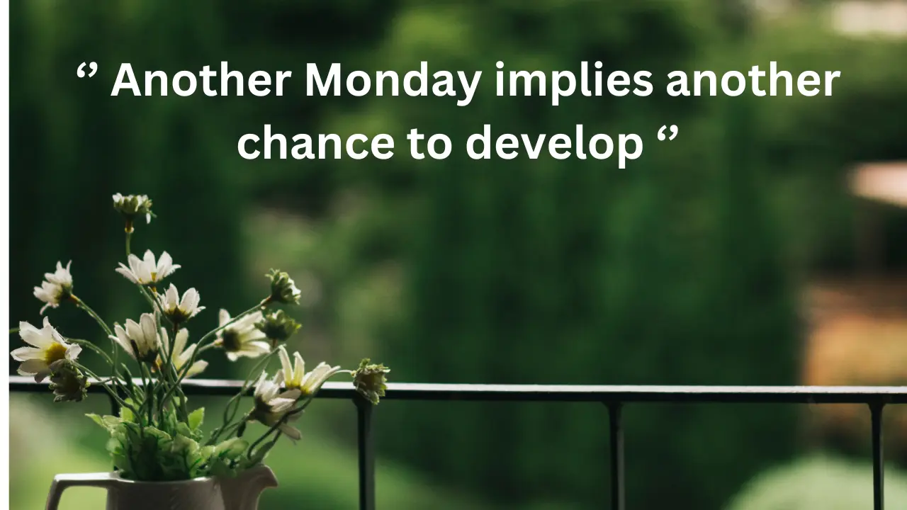 Another Monday implies another chance to develop
