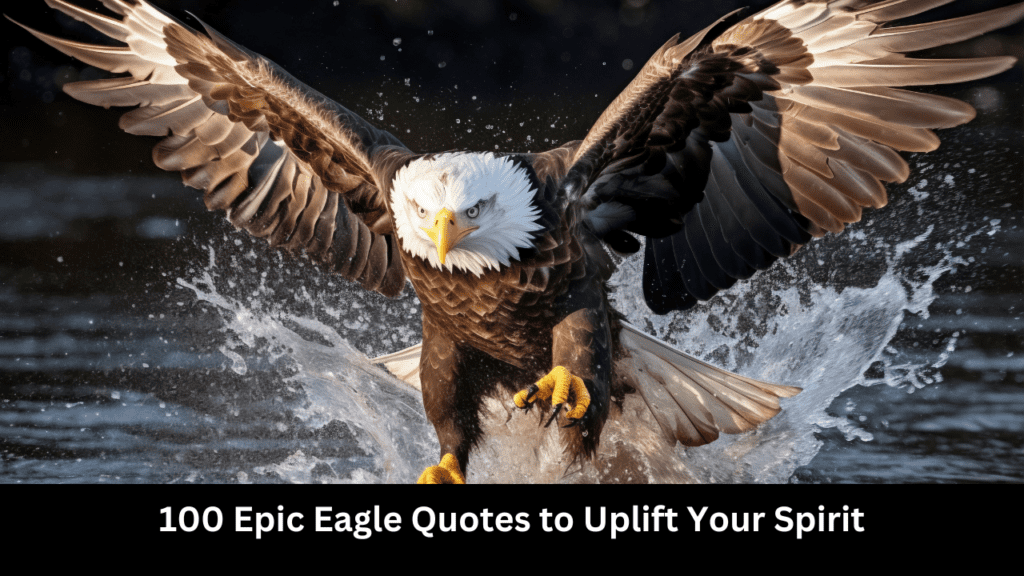 Epic Eagle Quotes to Uplift Your Spirit 2024