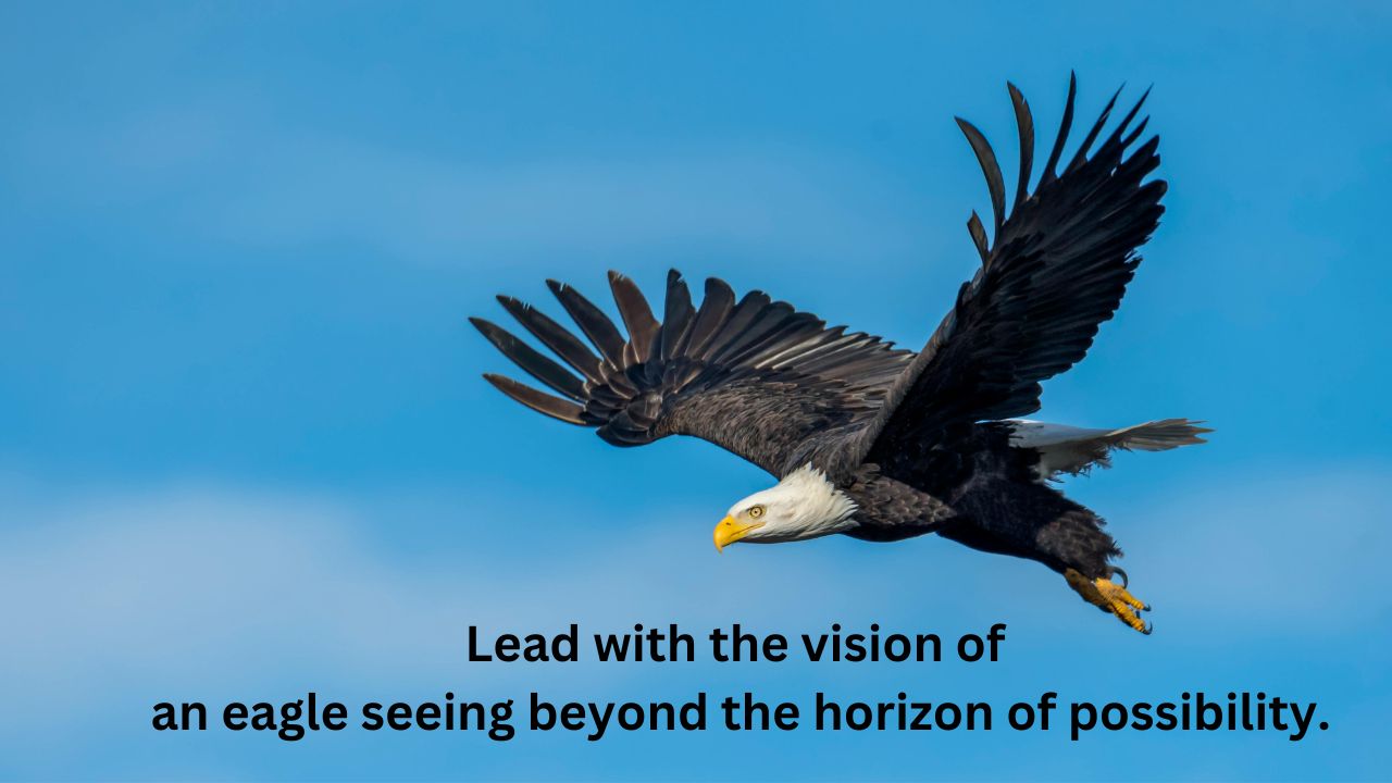 Lead with the vision of an eagle seeing beyond the horizon of possibility.