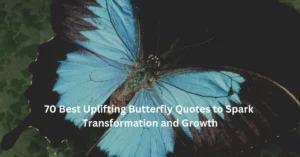 70 Best Uplifting Butterfly Quotes to Spark Transformation and Growth